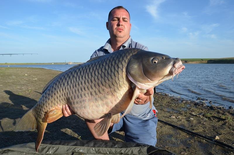 Desfasurare CN APCR Arrow Sarulesti 27 aprilie - 2 mai 2013 - dsc8907.JPG